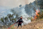 Algeria’s president seeks death penalty for those who start forest fires Algeria’s president seeks death penalty for those who start forest fires