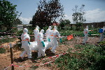 Ebola outbreak in DR Congo becomes deadliest in country’s history Ebola outbreak in DR Congo becomes deadliest in country’s history
