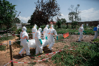 Red Cross volunteers in the Democratic Republic of the Congo carry the body of an Ebola victim