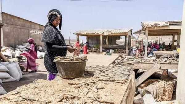 A woman arranges dried fish at a deserted fish market