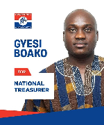 Gyesi Boako is a member of the NPP's National Communication Team