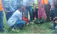 Photo of a tree planting exercise