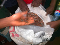 The Cocoa beans were concealed under plantains by the suspects