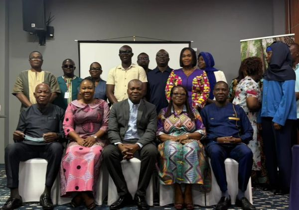 Energy Commission board set to revolutionise Ghana's EV landscape