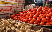 Some fresh tomato and ginger set for export