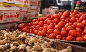 Some fresh tomato and ginger set for export Some fresh tomato and ginger set for export
