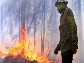 Bushfires12.jpeg