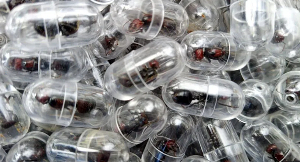 Some ants were recovered in test tubes while others were concealed in tissue paper rolls