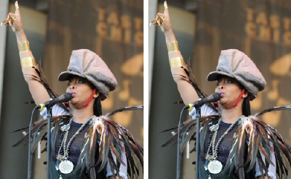 American singer, songwriter and record producer, Erykah Badu