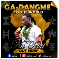 Ghanaian musician, Nii Tebil