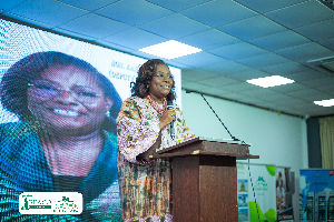 Nana Oye Bampoe Addo a Deputy Chief of Staff