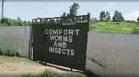 Kenyan farmers using fertiliser made by bugs, Kenya