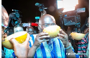 Dr Mahamudu Bawumia