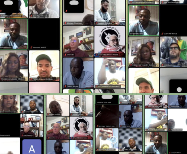 Some of the participants during the online session