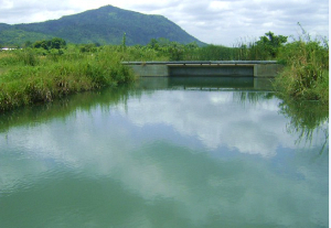 Kpong Irrigation Scheme