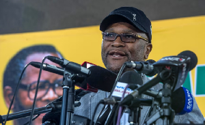 Nkosinathi Emmanuel “Nathi” Mthethwa in Johannesburg in 2017