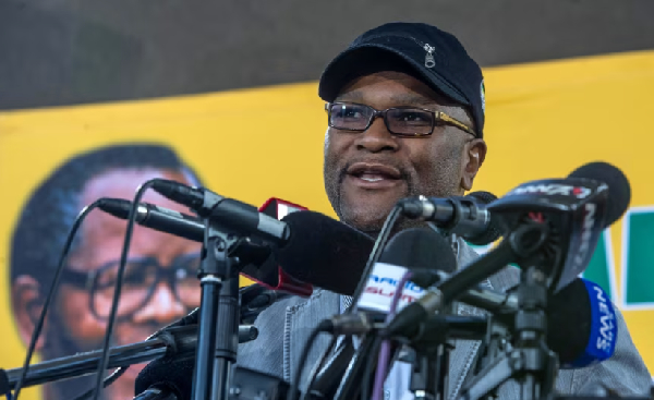 Nkosinathi Emmanuel “Nathi” Mthethwa in Johannesburg in 2017