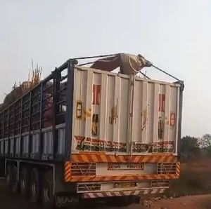 One of such trucks have been stranded in the neighboring countries