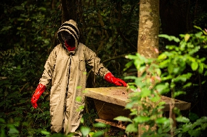 The people of Sefwi Wiawso have taken a keen interest in beekeeping