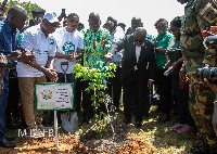 President Akufo-Addo watering a the seedling after planting it