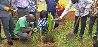 The president and other prominent personalities will take part in the June 11 planting exercise