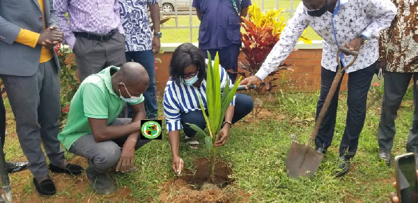 The MCE, Janet Tulasi Mensah being assisted to plant one of the trees