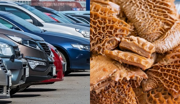 10 products accounted for 33.4% of all imports