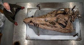 Di 2m-long pliosaur skull, wey dem find an one of di most complete skull dem don see