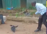 Inside details of pastor Nhyira’s dramatic battle with a black crow at Nsawam Market Inside details of pastor Nhyira’s dramatic battle with a black crow at Nsawam Market