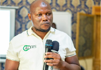 Nurideen Abdulai is the author of this article