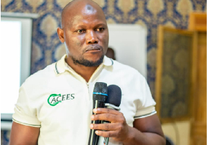 Nurideen Abdulai is the author of this article