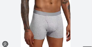 Boxer Shorts.png