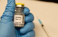 File photo of a malaria vaccine