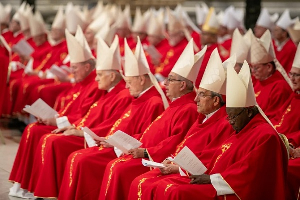 Some of the cardinals who will be taken part in the 2025 conclave