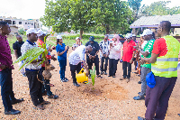 Mike Oquaye Jr is seen here planting a tree