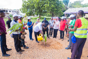 Mike Oquaye Jr is seen here planting a tree