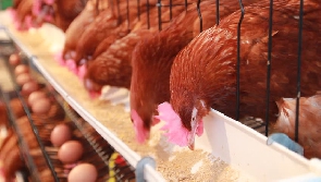 The poultry industry has also been hit by a bird flu outbreak in recent times