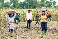 Some farmers on their way from a farm