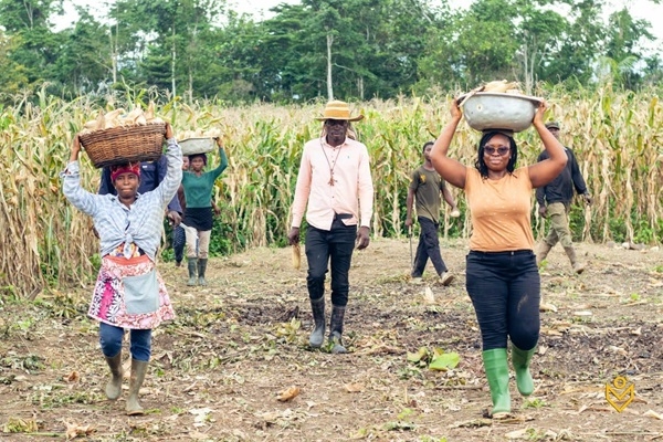 Some farmers on their way from a farm