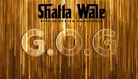 Shatta Wale's album cover