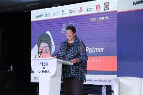 United States Ambassador to Ghana, Virginia Palmer