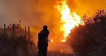 Algeria introduces death penalty for arsonists after deadly wildfires Algeria introduces death penalty for arsonists after deadly wildfires