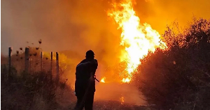 Arsons to face death penalty