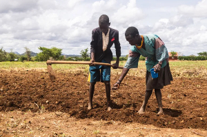 Food Crises In Uganda.png