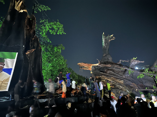 Hundreds gathered around the iconic tree in photos shared on social media
