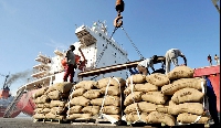 Bags of cocoa being loaded
