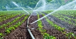 World Bank to commit $30 million to Ghana's irrigation systems