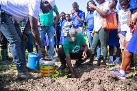 Officials of the SDGs Advisory Unit and the Forestry Commission planting one of the 1000 seedlings