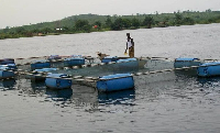 Inland aquaculture is the farming of aquatic organisms