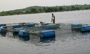 Inland aquaculture is the farming of aquatic organisms